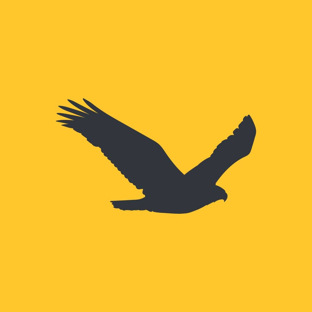 Birdclick: a melhor agência de marketing digital em Indaiatuba